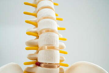 Jamistosci rdzenia Jamistosci rdzenia